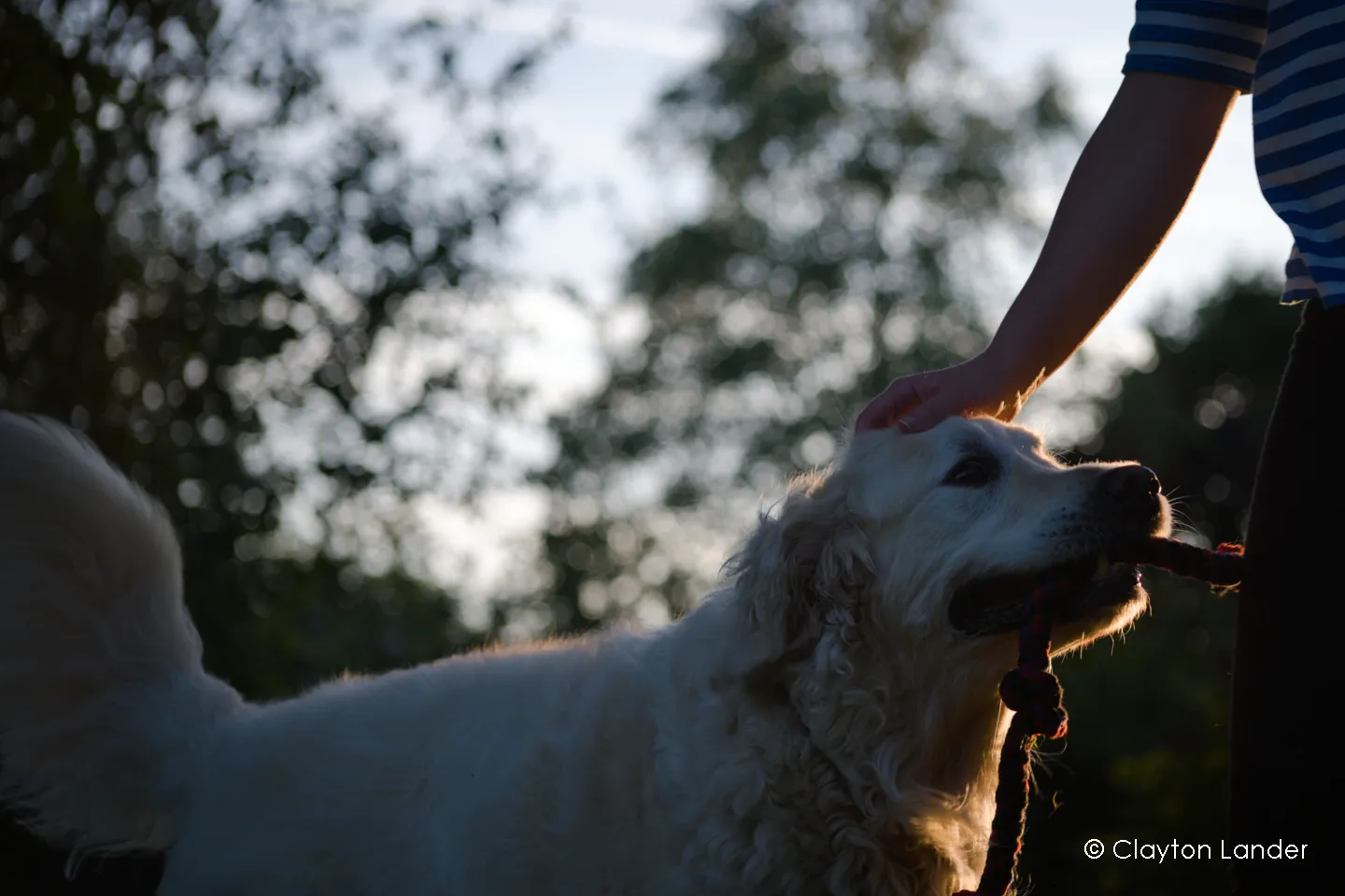 Tug of War at Sunset